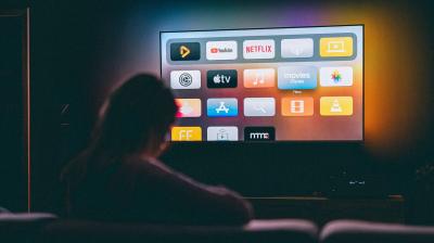 The report looks at the top original shows and films released last year in India